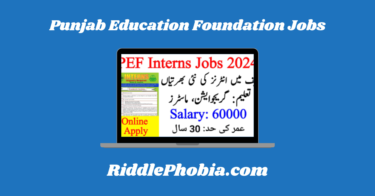 Punjab Education Foundation Jobs